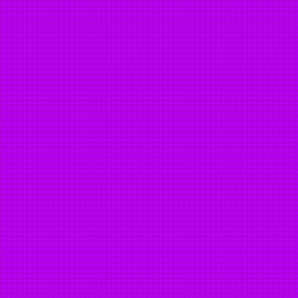 PURPLE AND PINK