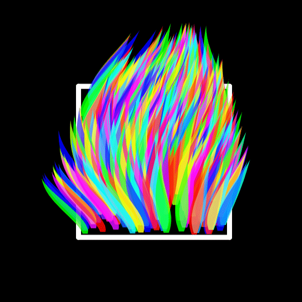 Grassbox. Rainbow edition.