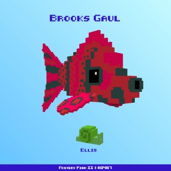 Brooks Gaul :: Mystery Fish 0467/1000