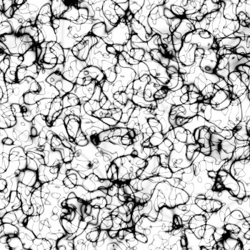 Spiders