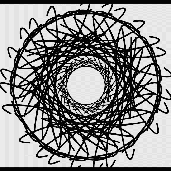 Orbicular.01