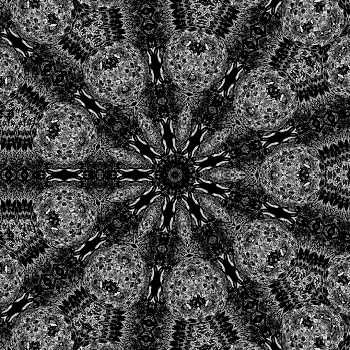 Flower - monochrome