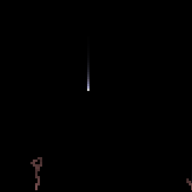 NIGHT TREES