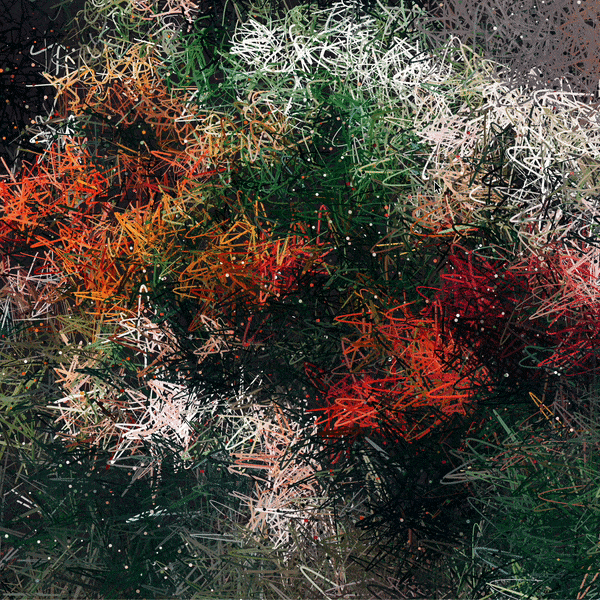 bouquet of flowers