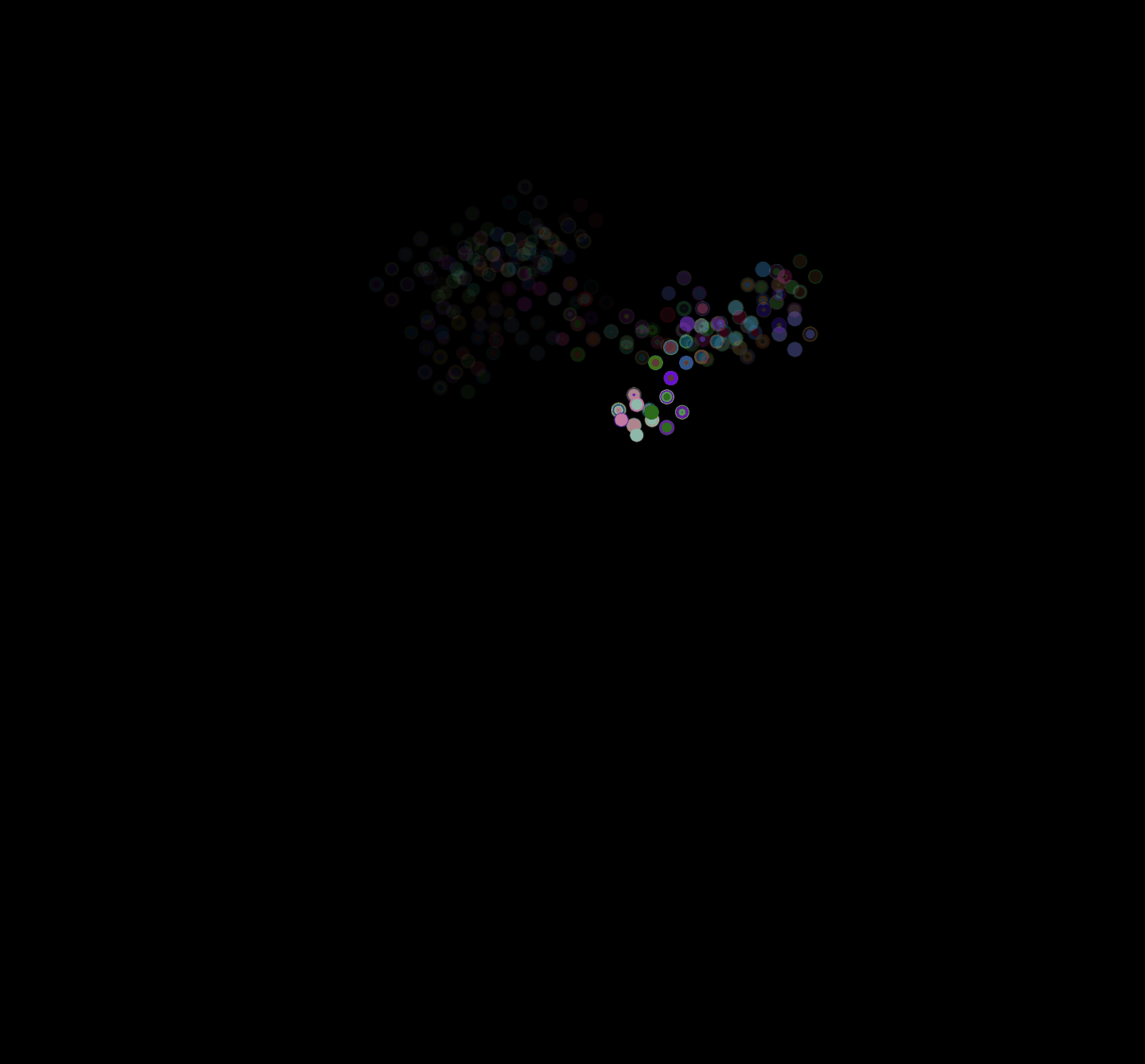Fireflies in Belgrade