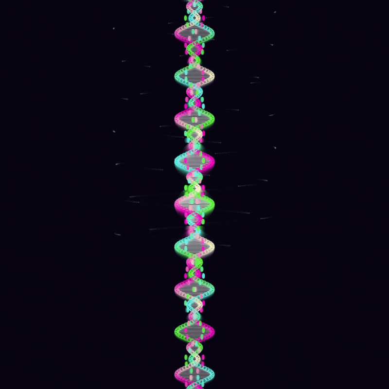 sequence