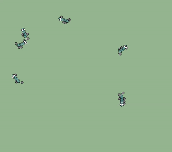 Bug #004