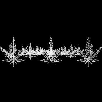 420