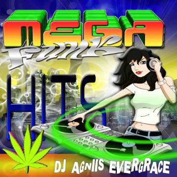 MEGA FUNK HITS