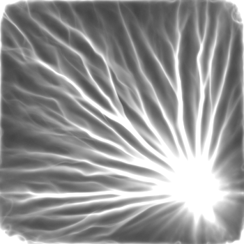 Interactive Physarum