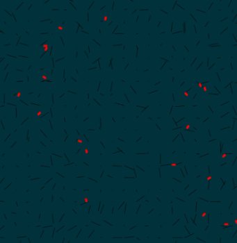 84000 cell