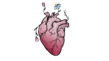 Love?
