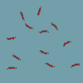 Bug #002