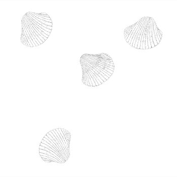 4 Shells