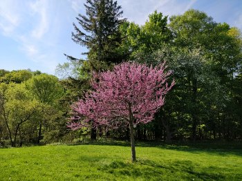Nature is here