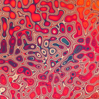 NEUROVERSE_0.1