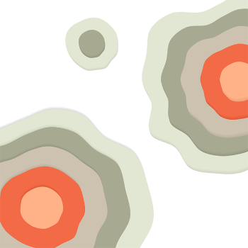 TOPOLOGY LAYERS