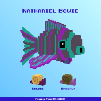 Nathaniel Bowie :: Mystery Fish 0119/1000