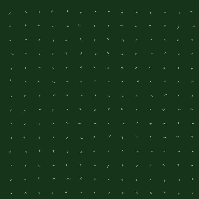 inverted utopia - brazil 2021