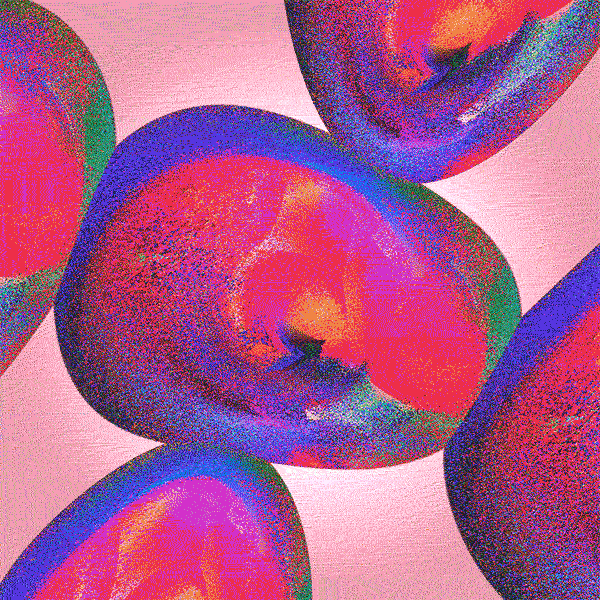 THE MULTIVERSE