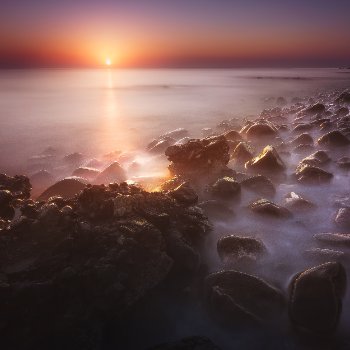 REVERIE