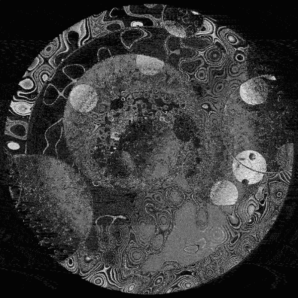 CELLS