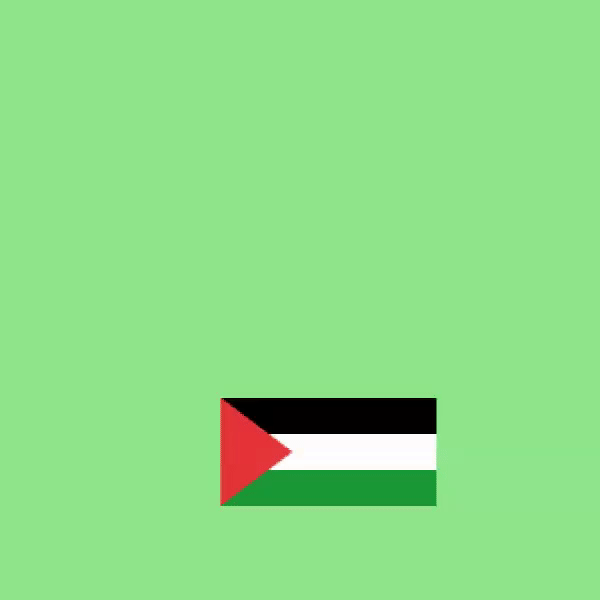 support palestine