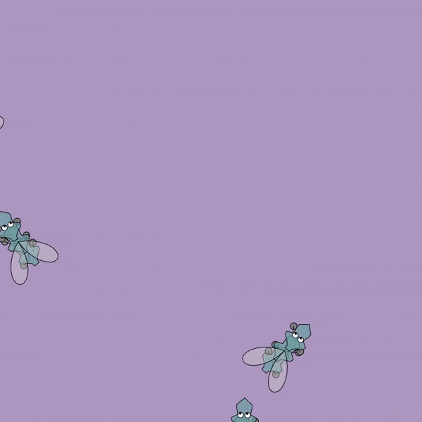 Bug #007