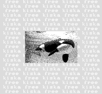 free kiska