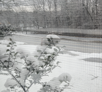 View Shift - 001 (Winter)