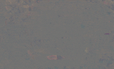 #Hen666 (Rendering a Skull 6 Billion Ways: The Momento Mori Remix)