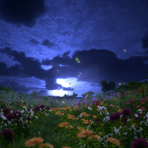 Grassland #1 - Night