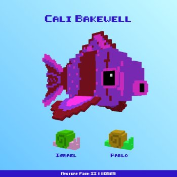 Cali Bakewell :: Mystery Fish 0529/1000