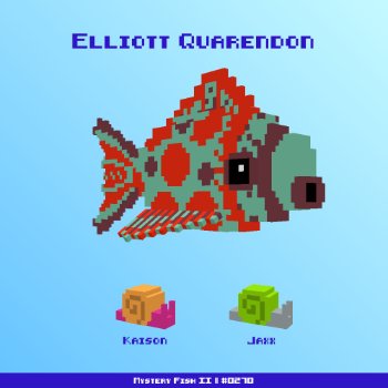 Elliott Quarendon :: Mystery Fish 0270/1000