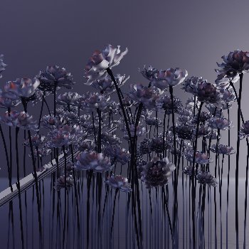 The Gardener