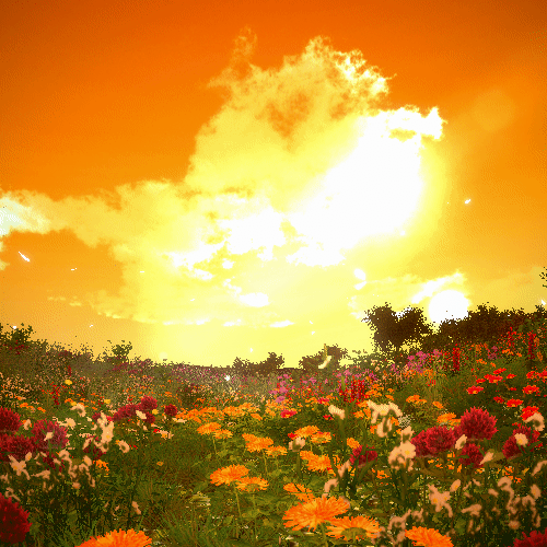 Grassland #1 - Sunset