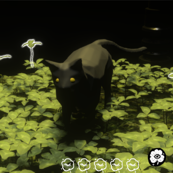 Black the Very Very Very Lucky Cat