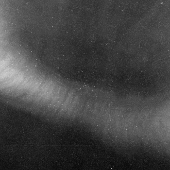 Observation 8 — sk210729