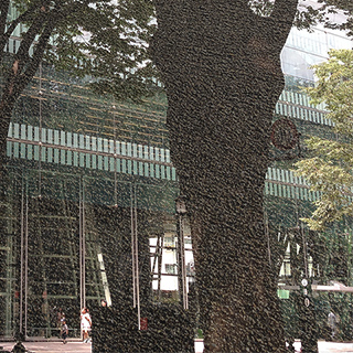 Quadrant of Codex Lucida 1.3