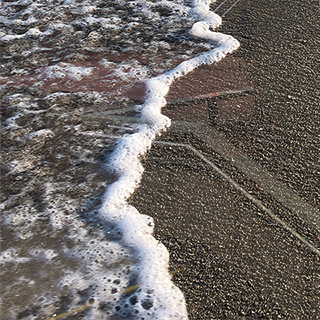 Quadrant of Codex Lucida 1.4