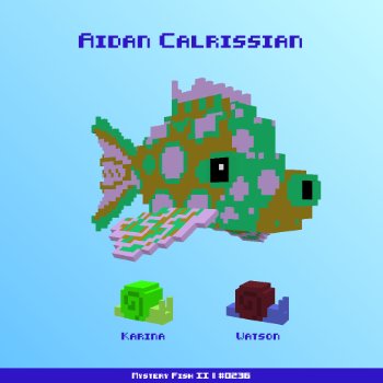 Aidan Calrissian :: Mystery Fish 0236/1000