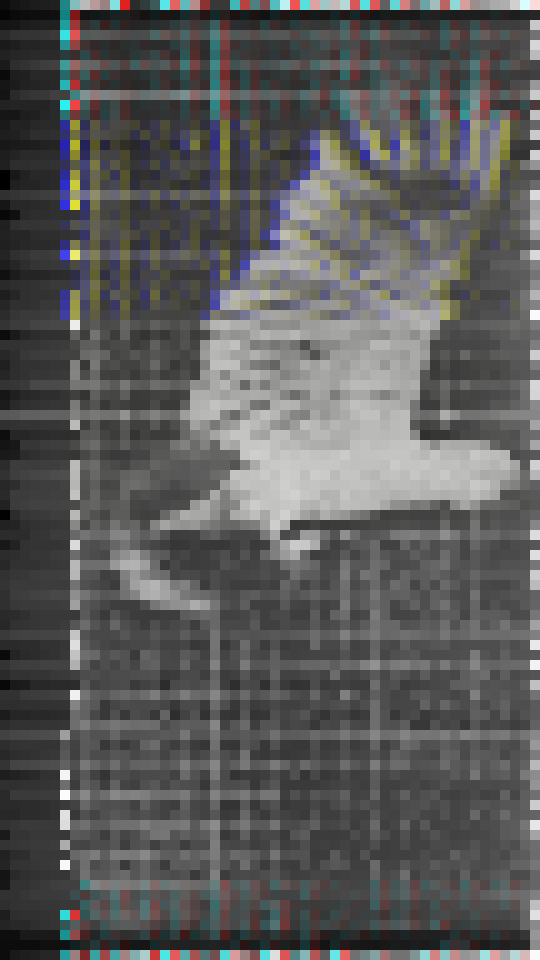 Memory Study 001